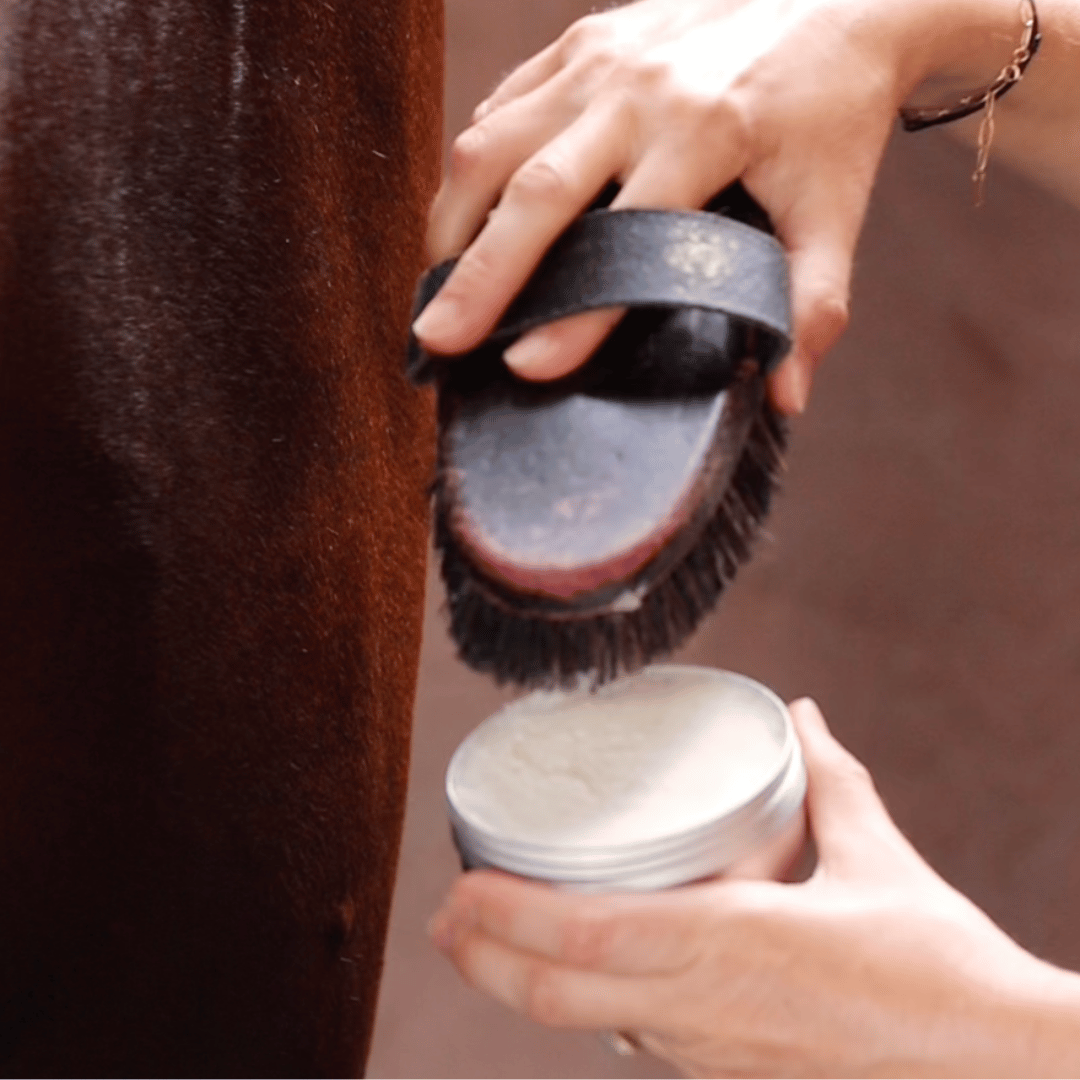 Honest Horse | ULTIMATE BUG BARRIER BALM